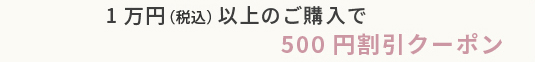 500円割引クーポンはこちら